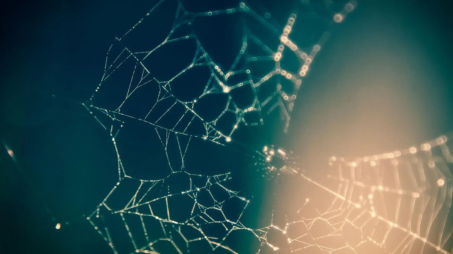 12_Nuove-connessioni-tra-profit-non-profit